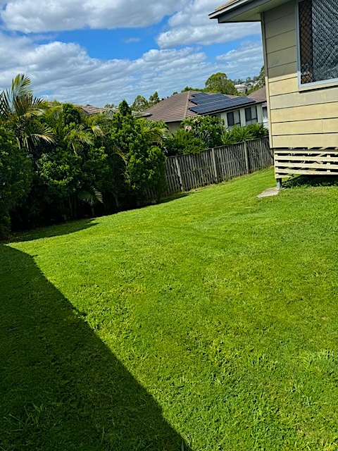 Completed Lawn Job